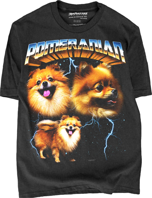 BABATEES Heavy Metal 80s Glam Pomeranian Tshirt for Men & Women